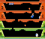 Play Classic NES Series – Ice Climber Online