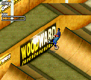 Play Dave Mirra Freestyle BMX 2 Online