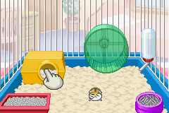 Play Hamster Club 3 Online