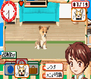 Play Kawaii Pet Game Gallery Online