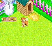 Play Nakayoshi Pet Advance Series 2 – Kawaii Koinu Online