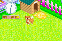 Play Nakayoshi Pet Advance Series 2 – Kawaii Koinu Online