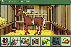 Play Paard & Pony – Mijn Manege Online