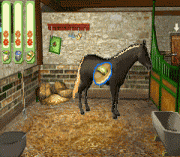 Play Paard & Pony – Paard in Galop Online