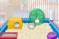 Play Petz – Hamsterz Life 2 Online