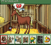 Play Pferd & Pony 2 in 1 Online