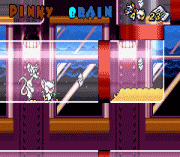 Play Pinky and the Brain – The Masterplan Online