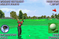 Play Tiger Woods PGA Tour 2004 Online