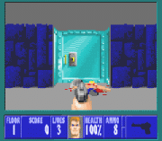 Play Wolfenstein 3D Online