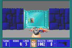 Play Wolfenstein 3D Online